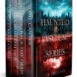 Haunted Asylum Ghost Kindle Novel by Amazon – 1321 Page Thriller-0